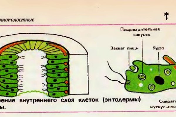 Кракен площадка kr2web in